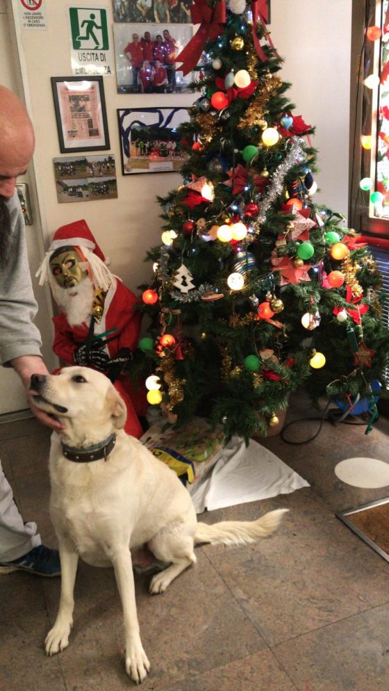 Emergenza freddo: porte aperte agli animali da compagnia nel centro di accoglienza Slataper