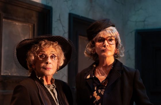 “Le Signorine” Isa Danieli e Giuliana De Sio in scena al Teatro Era