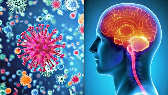 Meningite tipo B per 13enne, profilassi per passeggeri 2 voli