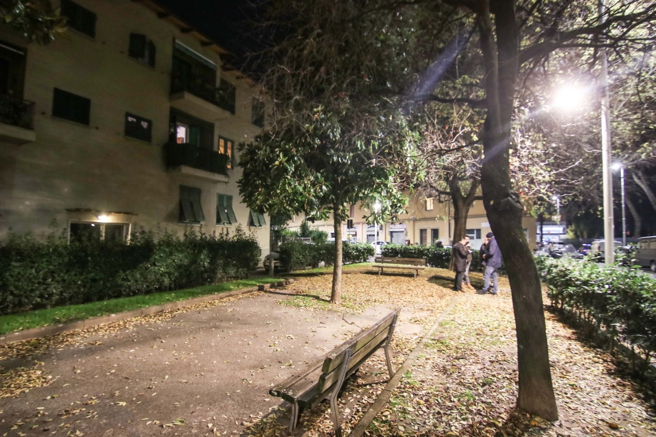 novoli