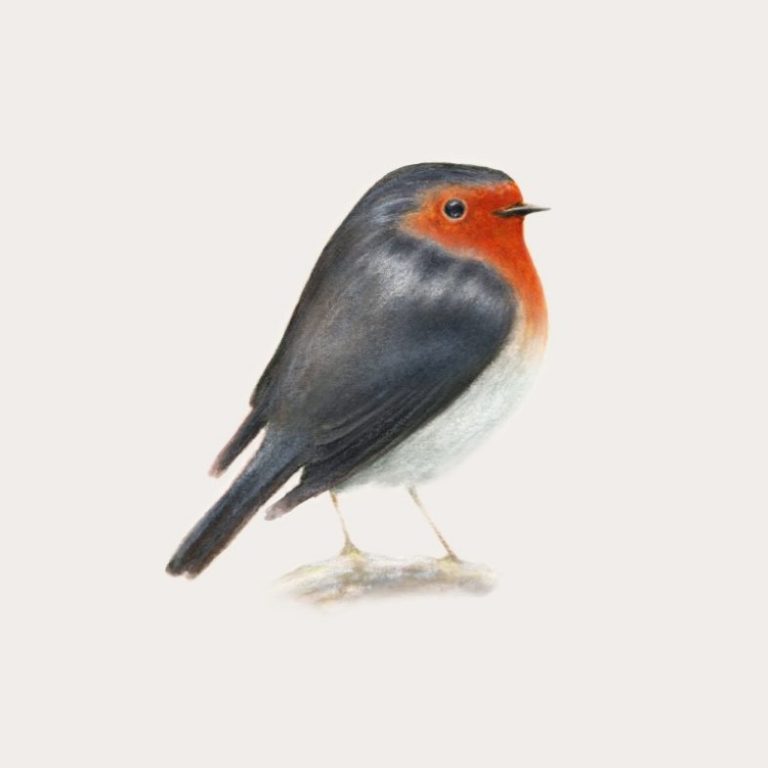 La Classifica di Controradio del 18 gennaio 2020