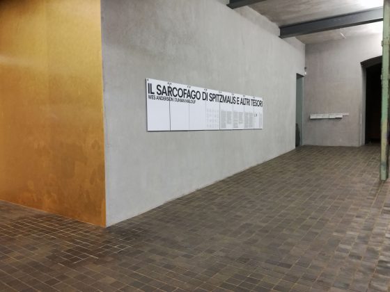 “Il sarcofago di Spitzmaus e altri tesori”