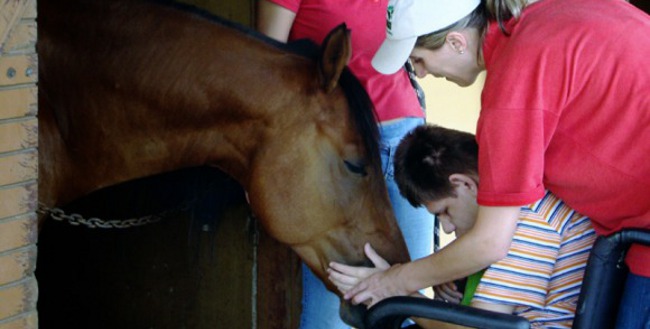 ippoterapia