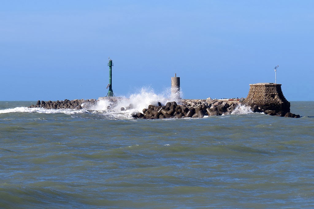 Livorno cocaina
