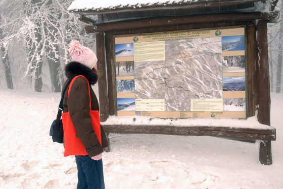 Foreste Casentinesi: immersione nella natura con il “Forest bathing”