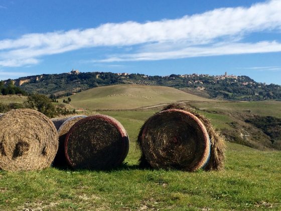 #25 Cos’è il FEASR?