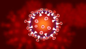 coronavirus forte dei marmi
