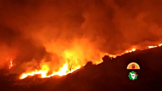 Nella notte incendio nei dintorni di Camaiore
