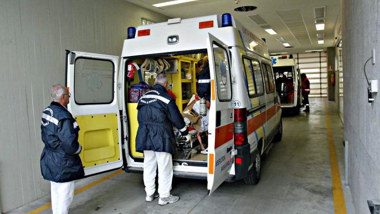 Elba: centauro muore in scontro con cinghiale