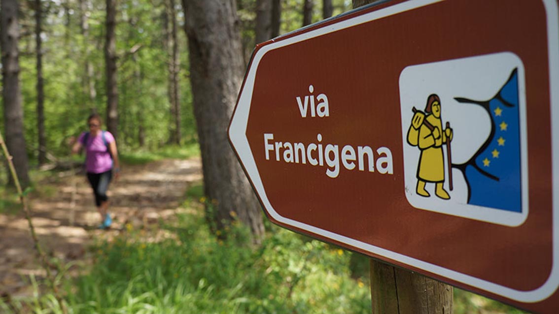 francigena