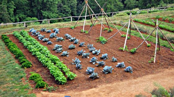 Ambiente: Firenze,bando Fondazione Cr Firenze premia 23 progetti di cura del verde