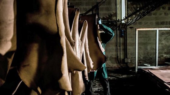Inchiesta Dda, vertici conciatori non rispondono a gip