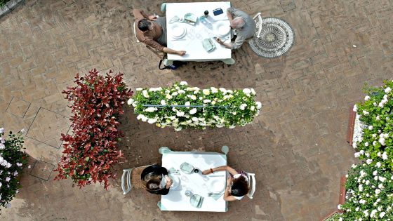 Piante e fiori per sicurezza in bar, ristoranti, spiagge