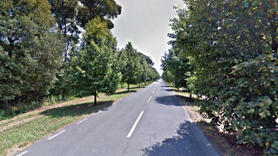Viareggio, chiude al traffico il viale dei Tigli nei week end