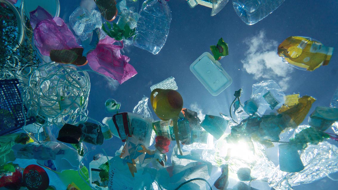 Esposto di Greenpeace contro Regione Toscana, per plastica in mare