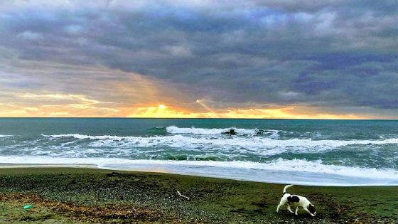 Turista tedesco 60enne annega in mare nel Livornese