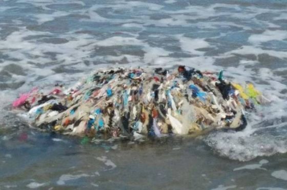 Fratoianni, stato emergenza per ecoballe Piombino