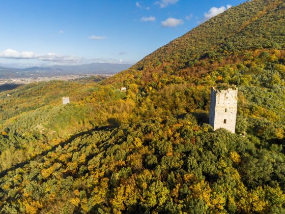 La Comunità del Bosco cerca proprietari e gestori di terreni per un progetto sul Monte Pisano