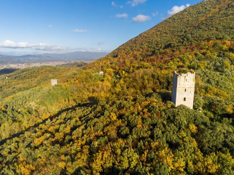 La Comunità del Bosco cerca proprietari e gestori di terreni per un progetto sul Monte Pisano
