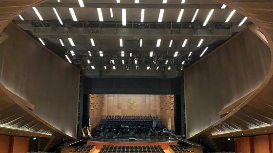 “Così remoti, così vicini”, progetto per spettacoli teatrali fruibili a distanza