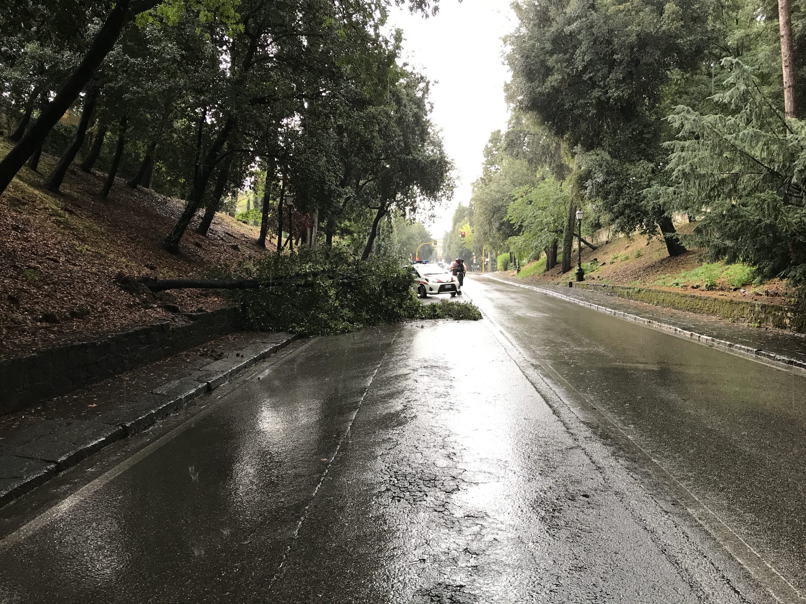 Maltempo: sassi e detriti in strada, litorale pisano chiuso