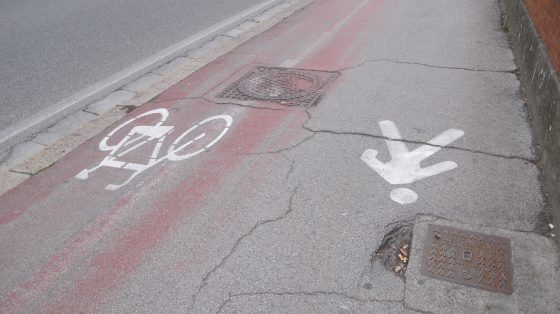 Giornata ambiente, Greenpeace: ecomappa digitale per Firenze e Pisa