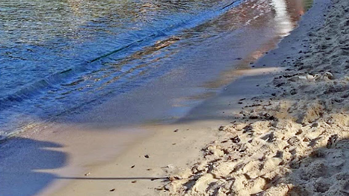 Una tonnellata di rifiuti da spiagge e fondali dell’Elba