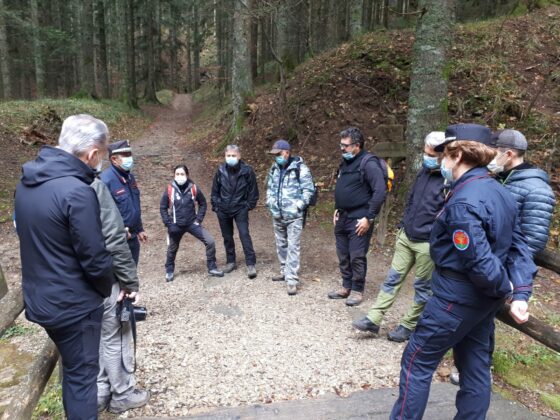 Il parco nazionale Foreste casentinesi candidato alla ‘Green list’ della IUCN