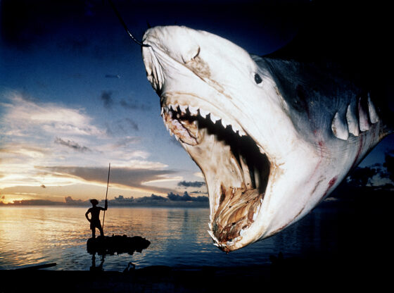 Archivio Alinari: entro 2022 a villa Fabbricotti