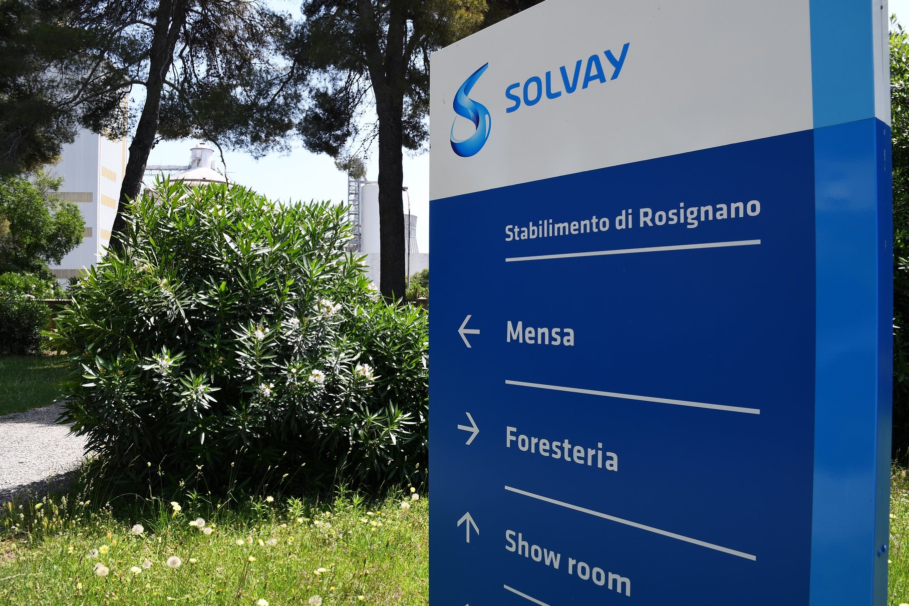 Solvay