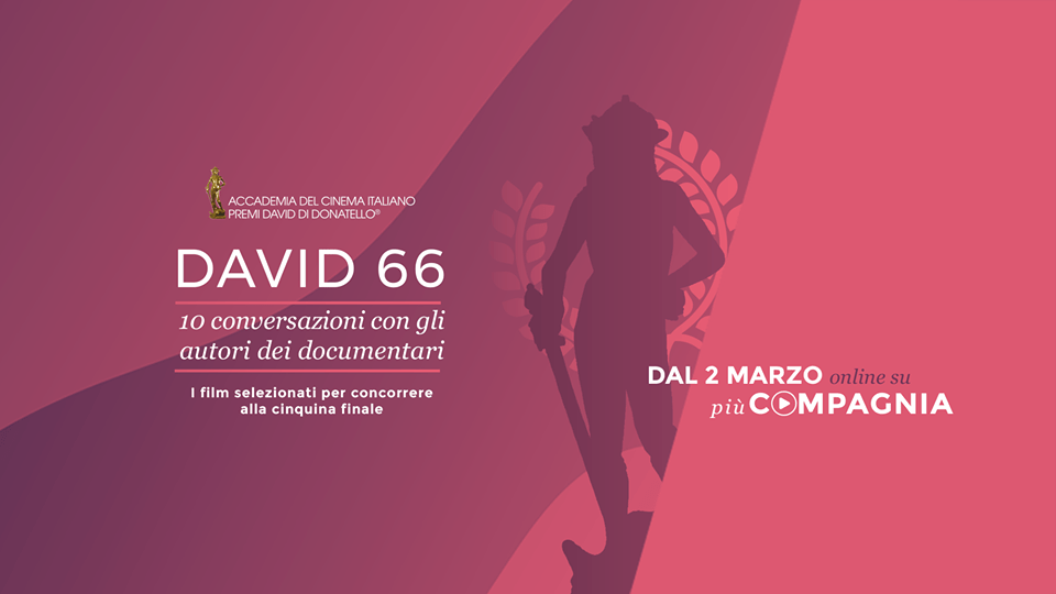 david