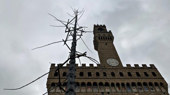 🎧 Dantedì – In Piazza Signoria installato un albero “Del Paradiso”