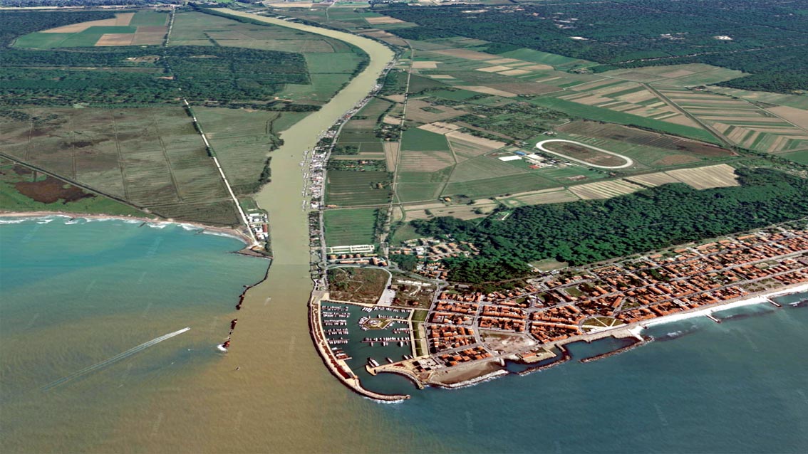 Navicelli