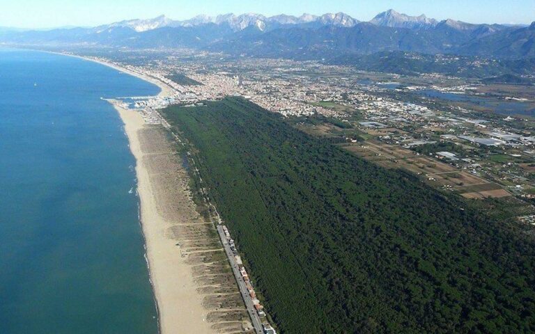 viareggio lecciona