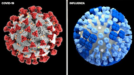 Influenza stagionale quest’anno è stata bloccata dal Covid-19