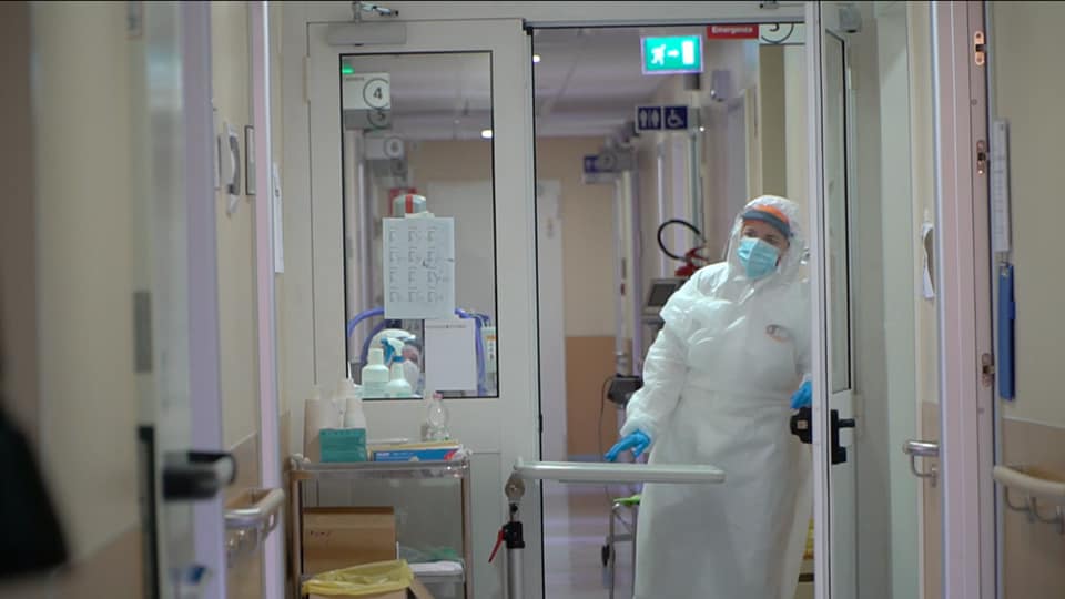 ospedale Versilia