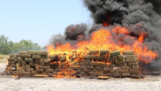 Cocaina, distrutti 3.300 kg, valore 500 mln di euro