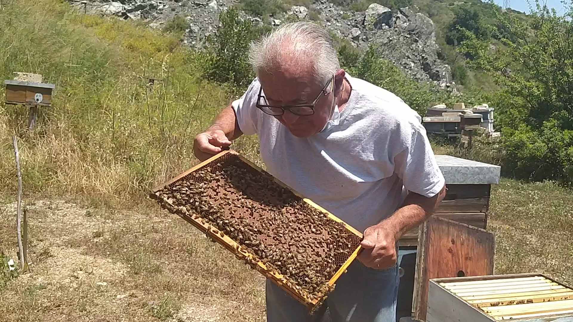 roberto ballini elba