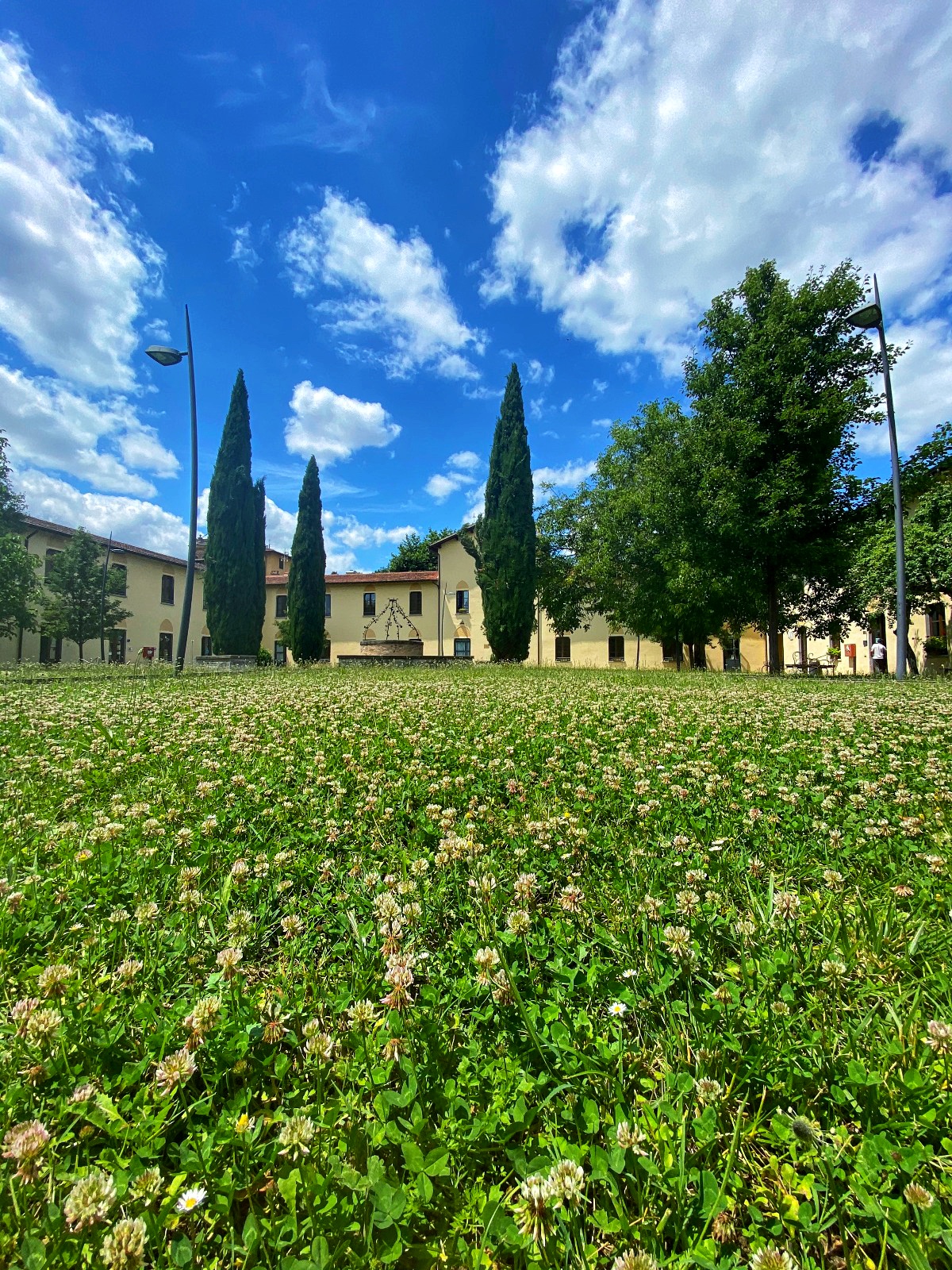 estate