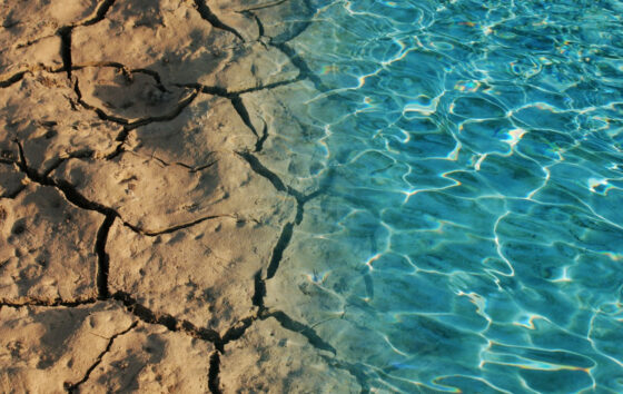 🎧 Mediterraneo: ecosistema a rischio, colpa del riscaldamento