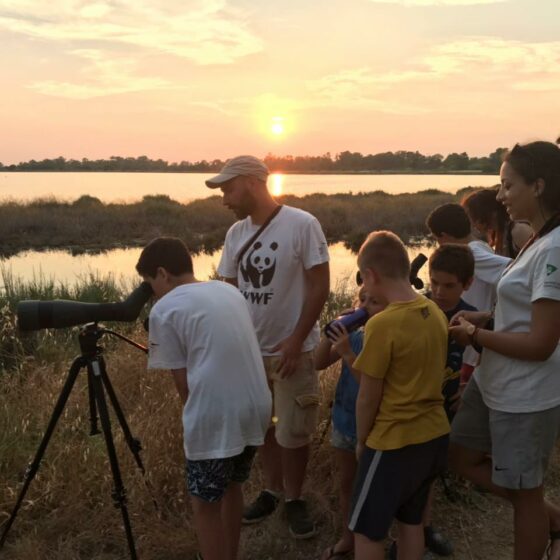 🎧Giornata dell’ambiente: 5-6 giugno visite nelle oasi wwf Maremma