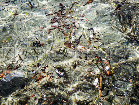 Mar Tirreno: metalli pesanti in microplastiche, aree marine Toscana e Liguria