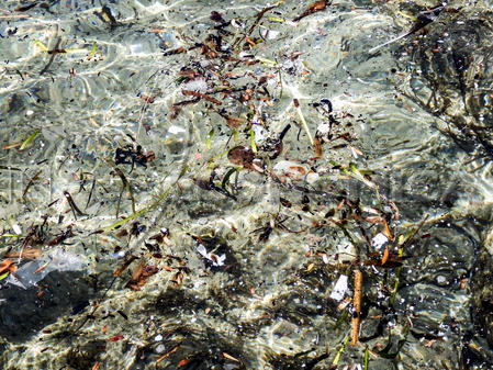 microplastiche mar tirreno
