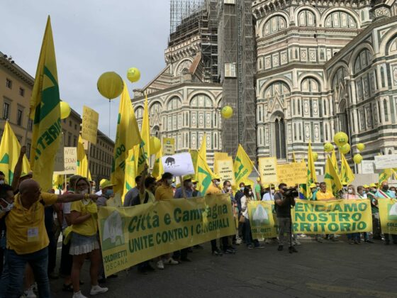 🎧 Cinghiali, Coldiretti: “basta estremismi, Regione faccia sintesi”