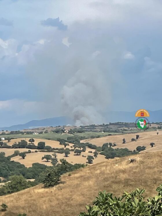 Incendio di vaste proporzioni a Campagnatico (Gr), mezzi aerei in azione
