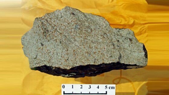Elgoresyite, nuovo minerale individuato da team internazionale guidato da Unifi