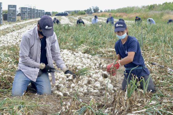 G20: Coldiretti, giovani contadini in piazza in difesa della terra