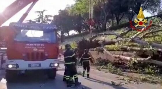 Controradio Infonews: le principali notizie dalla Toscana, 28 settembre 2021