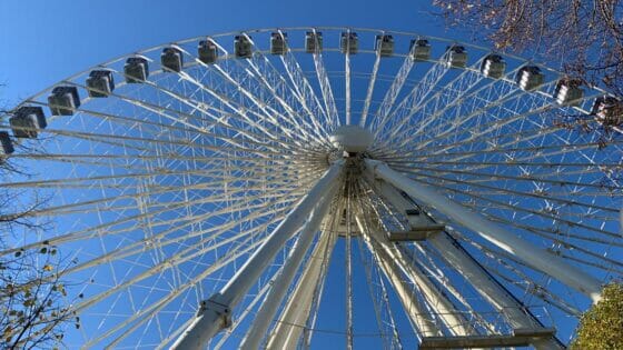Pisa, per Natale pista di ghiaccio e ruota panoramica