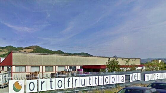 Ortofrutticola del Mugello: da domani presidio fisso lavoratori